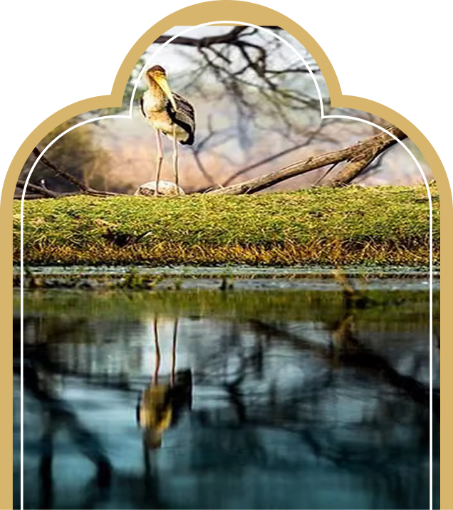 Kalakho Lake & Reservoir